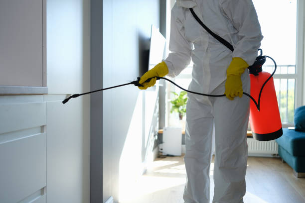 Best Water Damage Restoration  in Goodrich, MI