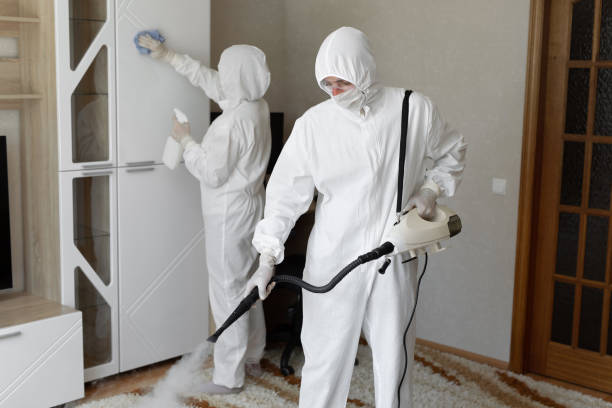 Attic Mold Removal in Goodrich, MI