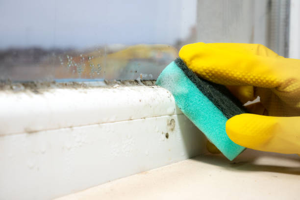 Best Crawl Space Mold Removal  in Goodrich, MI