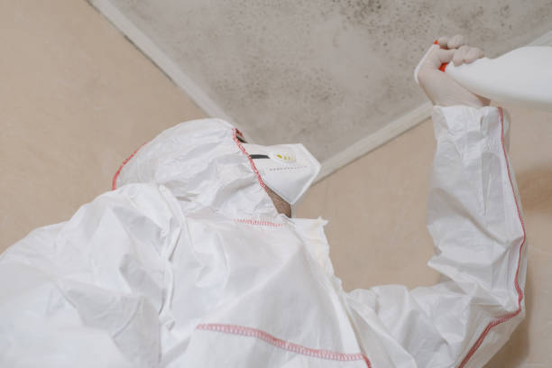 Best Mold Testing  in Goodrich, MI