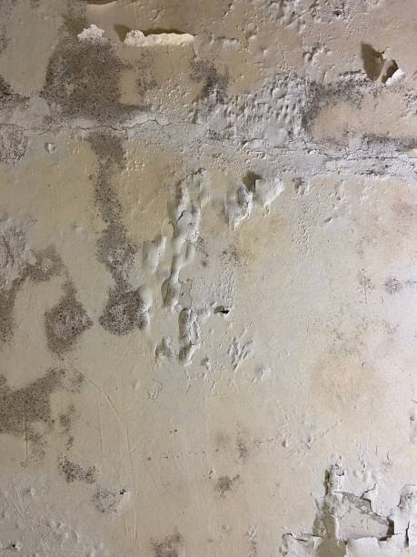 Water Damage Restoration in Goodrich, MI